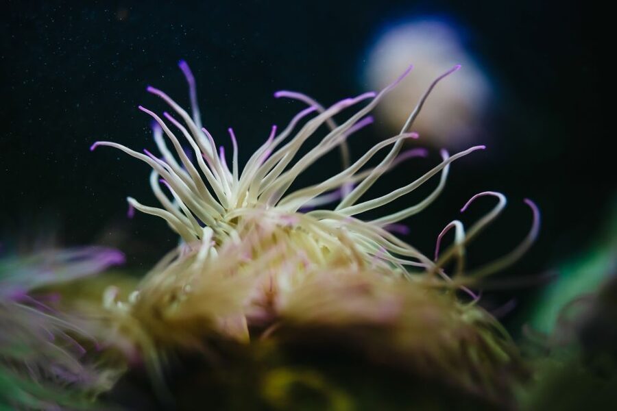 Heraklion Area: CRETAquarium Admission Ticket - Rules, comfort, and the little practicalities that matter