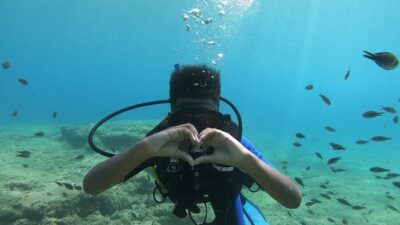Beginner Scuba Diving Lesson with PADI Instructor