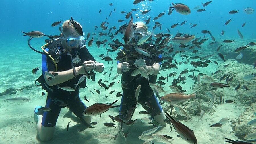 Heraklion: Beginner Scuba Diving Lesson with PADI Instructor - Equipment, what to bring, and how to avoid the small annoyances