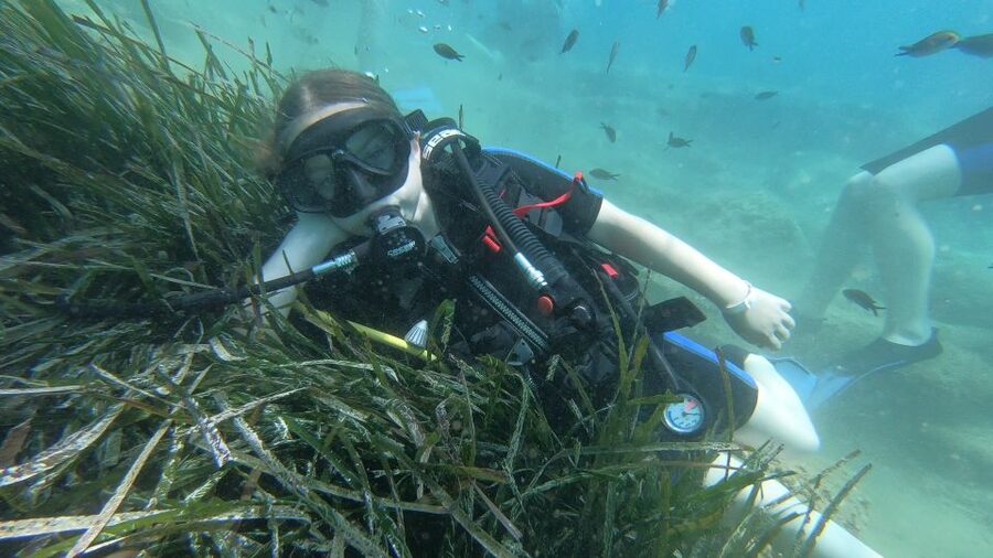Heraklion: Beginner Scuba Diving Lesson with PADI Instructor - Price and value: what $88 buys you in the real world