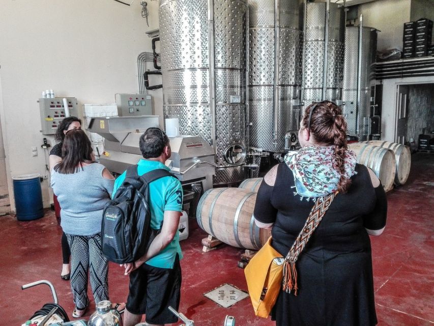 Heraklion: Cretan Wine Tasting Tour & Gourmet Lunch - The most praised parts, and why they matter to your day