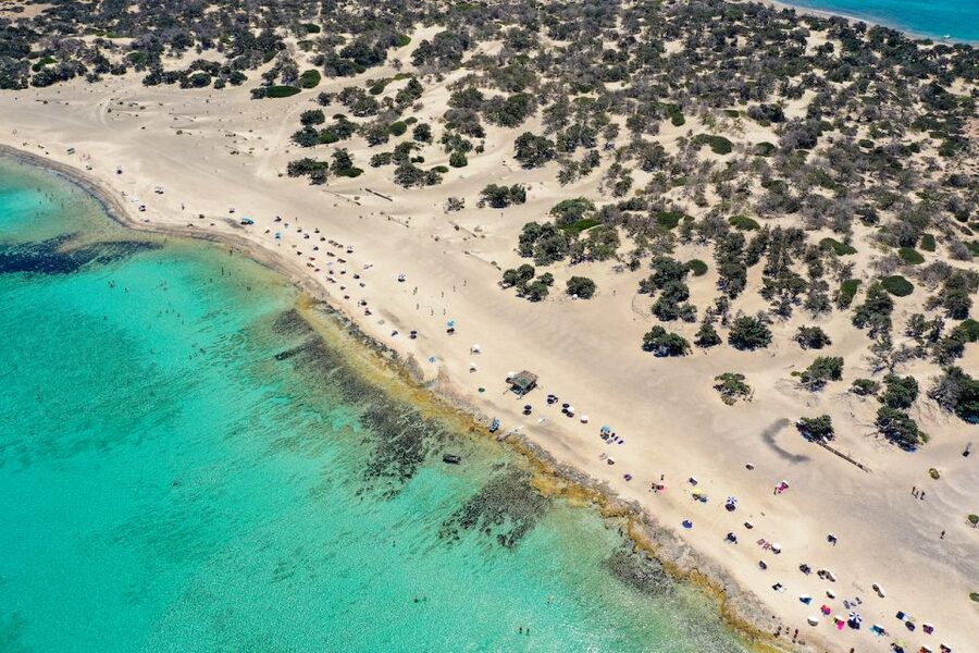 Heraklion: Cruise to Chrissi Island Natural Park with Pickup - Seeing Fish and Making the Most of Clear Water