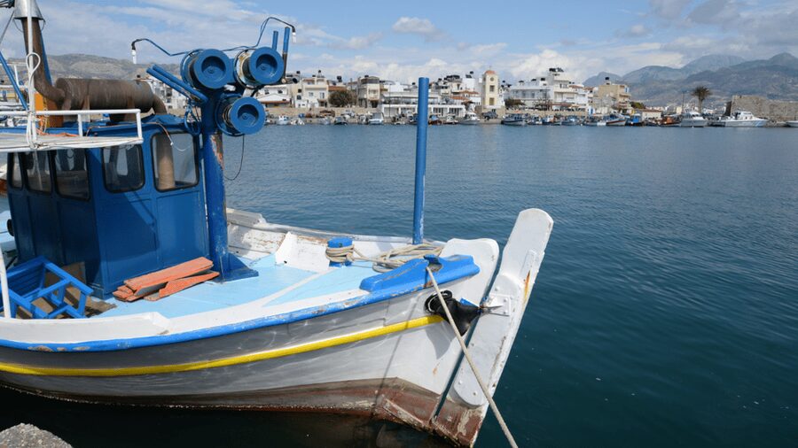 Heraklion: Cruise to Chrissi Island Natural Park with Pickup - What You Can Do During the Cruise Stops (And What You Cannot)