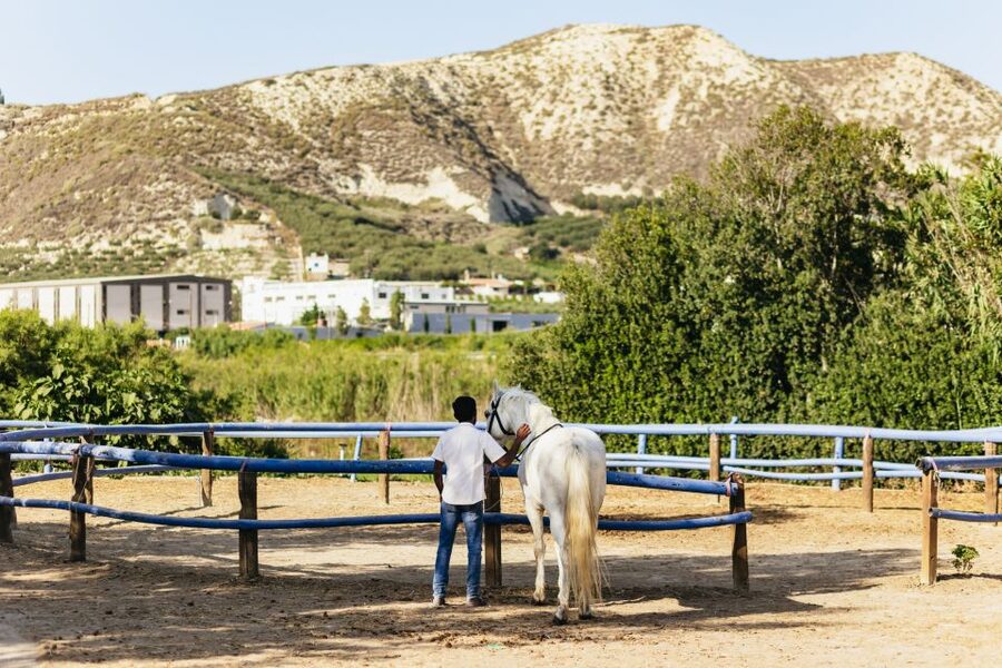 Heraklion: Finikia Horse Riding Tour with Lunch or Dinner - Finikia Horse Riding: what the day feels like
