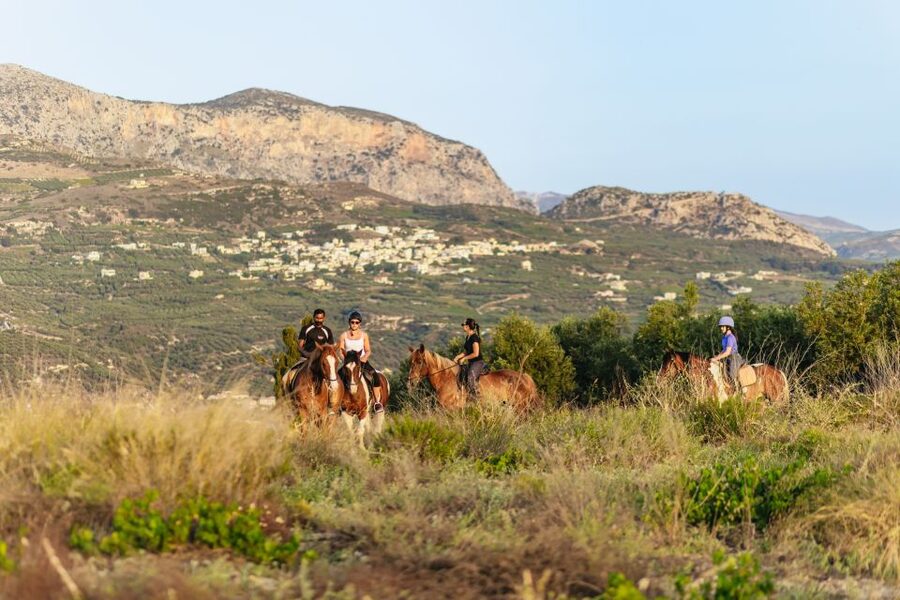 Heraklion: Finikia Horse Riding Tour with Lunch or Dinner - Getting there: how the morning and evening slots work