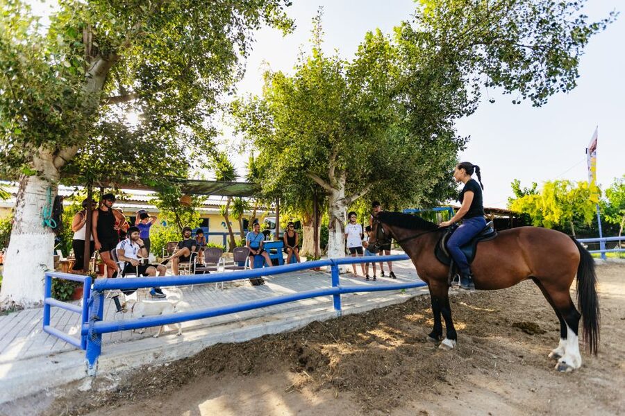 Heraklion: Finikia Horse Riding Tour with Lunch or Dinner - First stop at the farm: coffee, paperwork, and matching you to a horse