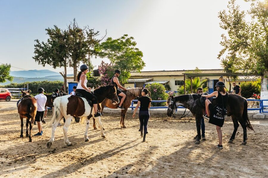 Heraklion: Finikia Horse Riding Tour with Lunch or Dinner - Canter and gallop: who gets the faster session