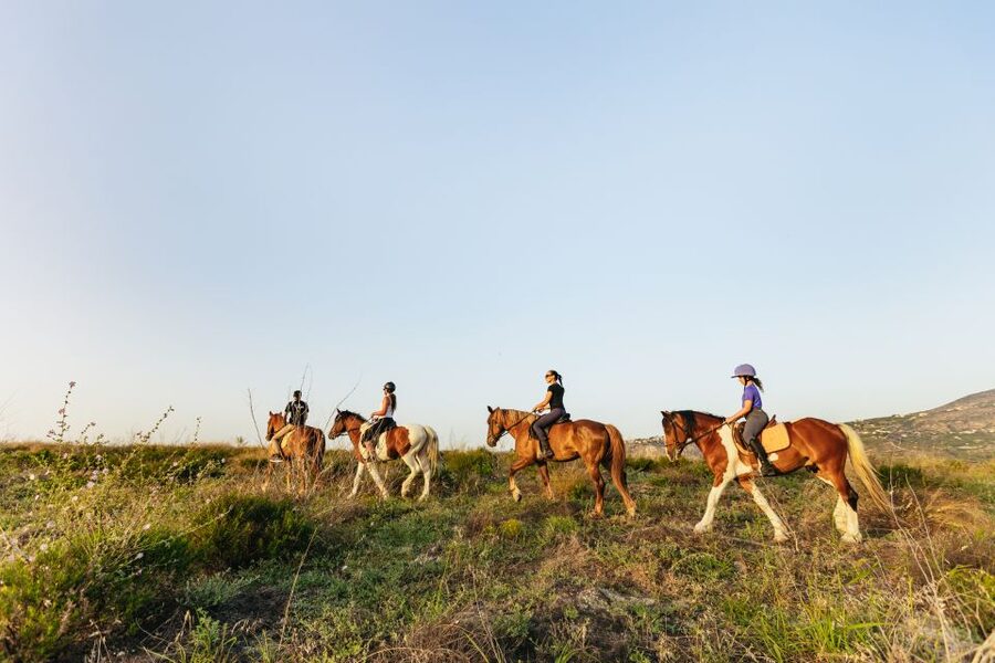 Heraklion: Finikia Horse Riding Tour with Lunch or Dinner - Lunch or dinner in the garden: why this meal drives repeat bookings