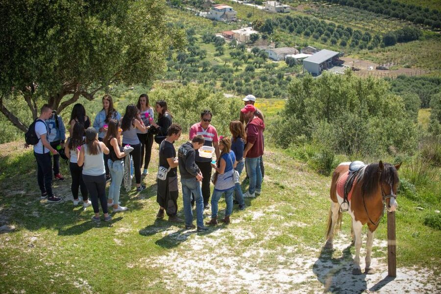 Heraklion: Horseriding Day Tour with Lunch and Transfer - Riding style and safety, from “first time” to “give me speed”