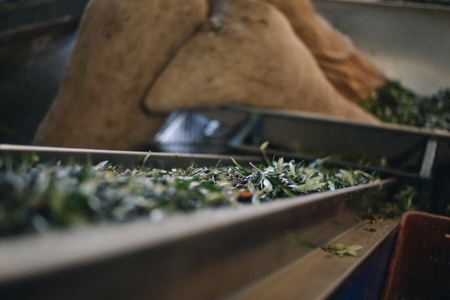 Heraklion: Olive Farm Tour with Tasting of Local Delicacies - Key moments that make Kleanthi worth your time