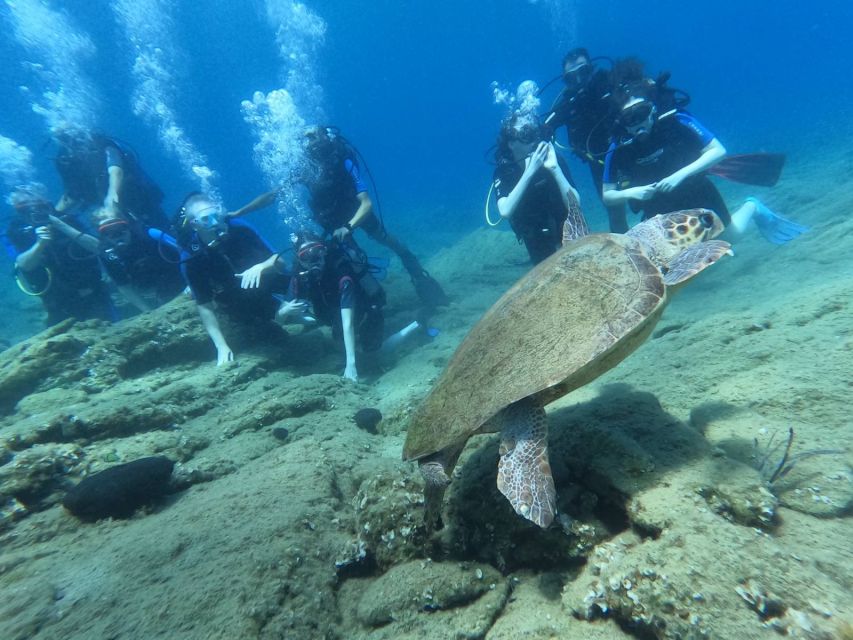 Heraklion: Scuba Diving Experience for Beginners _Beach - Equipment, included extras, and what you should bring