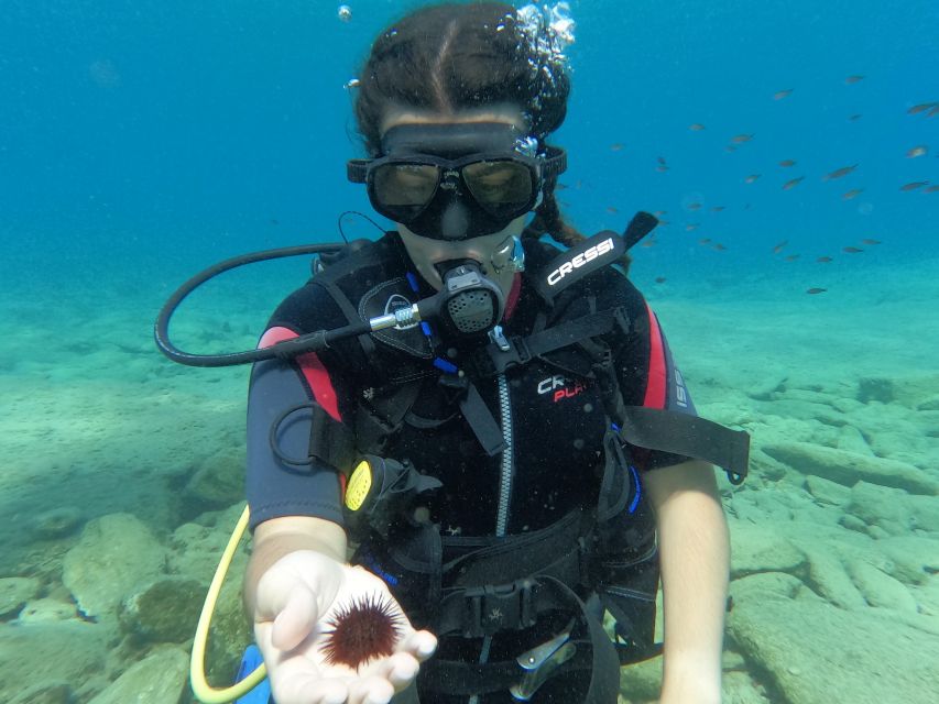 Heraklion: Scuba Diving Experience for Beginners _Beach - Photos and videos: how to budget and avoid sticker shock