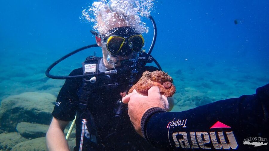 Heraklion: Scuba Diving Experience for First-Timers - What to bring to Ligaria so you feel prepared