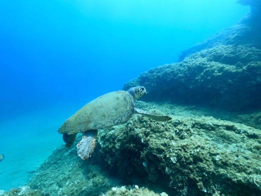 Heraklion: Scuba Diving Experience for First-Timers - Ligaria in Heraklion is the right first-timer setting