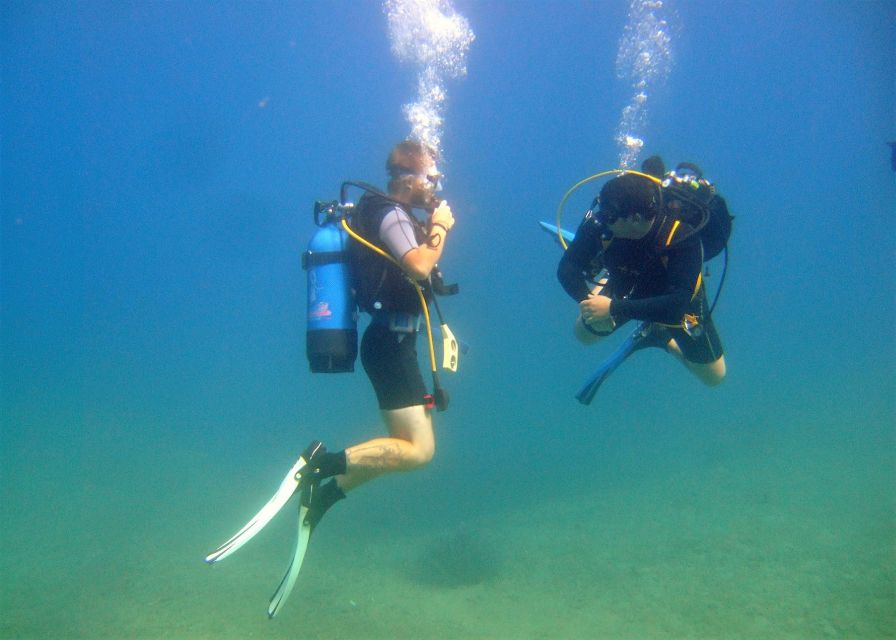 Heraklion: Scuba Diving Experience for First-Timers - Your Ligaria underwater session: clear water, marine life, and photo time