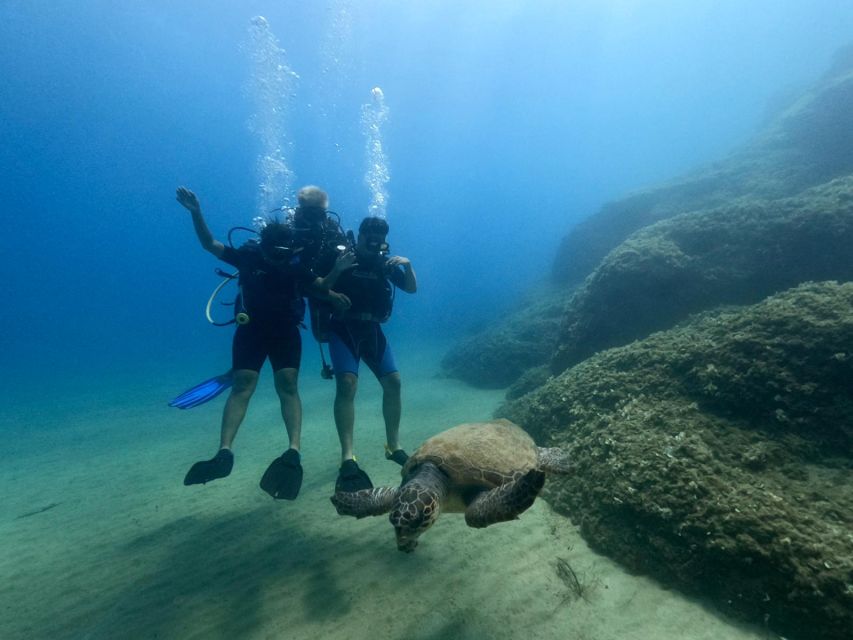 Heraklion: Scuba Diving Experience for First-Timers - Who this is for, and who should skip it