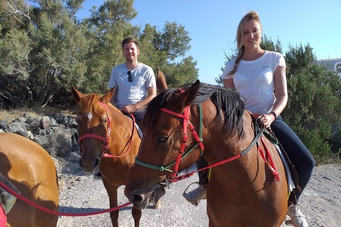 Horse Riding: Explore Secret Thera - Horse Riding in Megalochori: A One-Hour Santorini Win