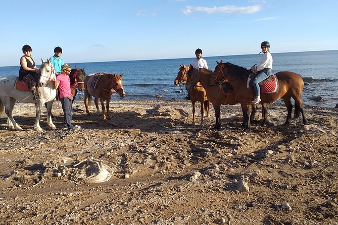 Horse Riding: Explore Secret Thera - Stop 2, Toward Santorini Viewpoints: Caldera Photos and Cliffside Stops