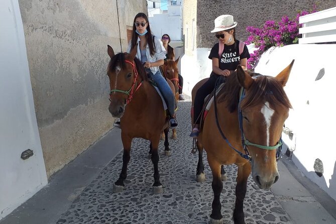 Horse Riding: Explore Secret Thera - Timing, Heat, and Why “Calm Pace” Is Part of the Deal