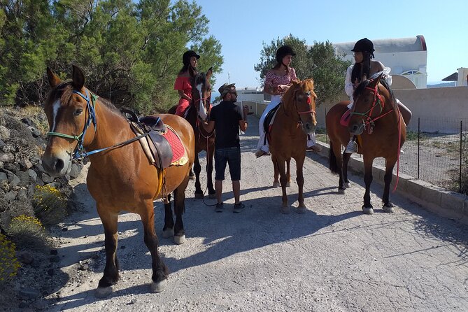 Horse Riding: Explore Secret Thera - Price and Value: Is $72.56 a Fair Deal?