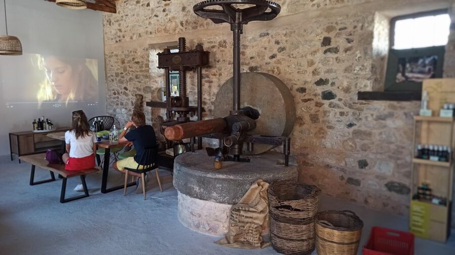Kalamata: The Olive Oil Routes Tour - Price and value: what $106 buys you here
