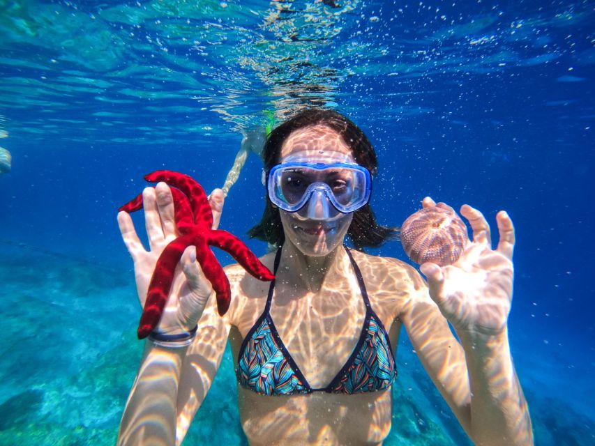 Kamiros Skala : Marine Life Experience & Alimia Island - Should you book this Kamiros Skala Marine Life Experience and Alimia Island?