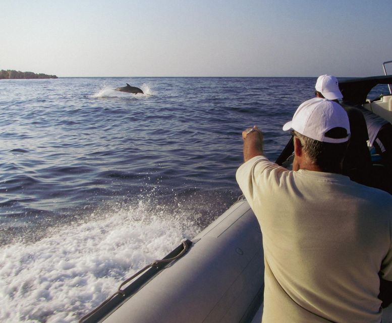 Kamiros Skala : Marine Life Experience & Alimia Island - Alimia Island, uninhabited and slow: swimming, churches, and real quiet