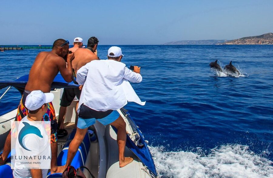 Kamiros Skala : Marine Life Experience & Alimia Island - Who should book, and who should skip it