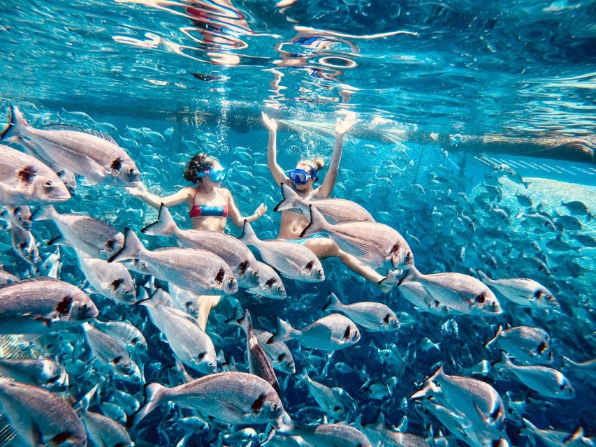 Kamiros Skala: Marine Life Experience by Boat - Key highlights worth marking on your calendar