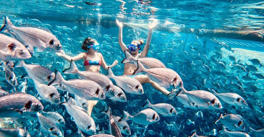 Kamiros Skala: Marine Life Experience by Boat - A few practical tips before you go