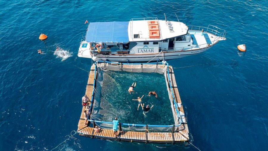 Kamiros Skala: Marine Life Experience by Boat - Makri Islet dolphin watching, plus aquaculture explained in plain language