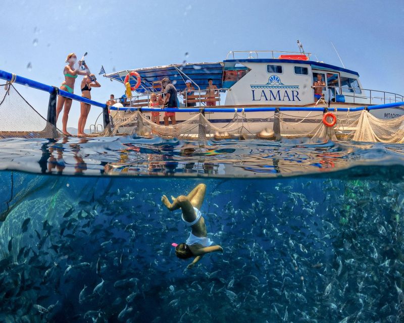 Kamiros Skala: Marine Life Experience by Boat - Watching tuna and reef life without scaring the sea