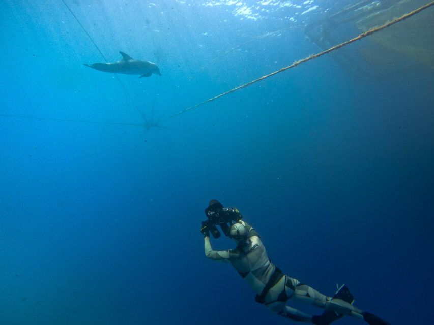 Kamiros Skala: Marine Life Experience by Boat - The dolphin return pass, photos, and snacks that reset you