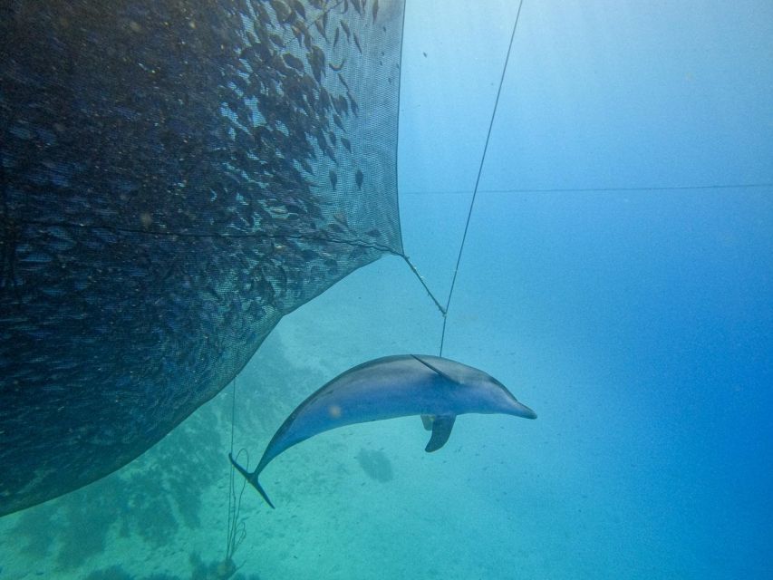 Kamiros Skala: Marine Life Experience by Boat - Who this tour fits best, and who should skip it