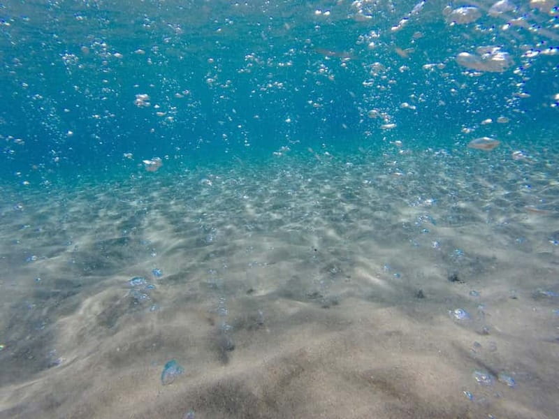 Kardamaina: Pirate Boat Cruise to 3 Bays with BBQ Lunch - Kastri Island and the Greek BBQ: swimming plus lunch on the move