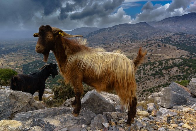 Katharo Route Tour from Agios Nikolaos - Eco Park and handicrafts: a shopping break with a purpose