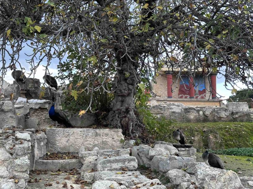 Knossos Palace Skip-the-Line Ticket & Private Guided Tour - Photo spots and taking your time without losing the plot