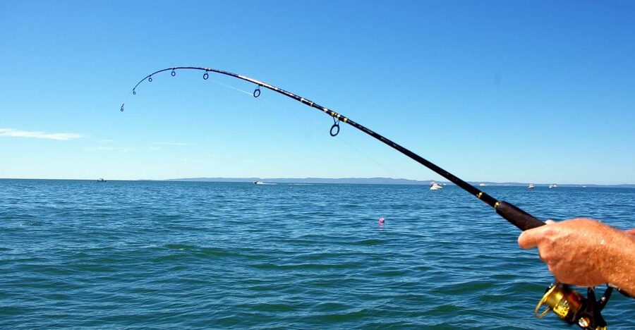Kos: Fishing Trip Experience with a Greek Fisherman's Family - A morning on Agios Giorgios with Captain George