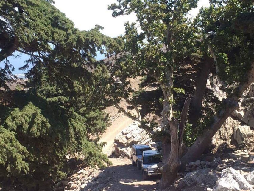 Kos: Full-Day Jeep Safari with Lunch - Chaihoutes Village and Zia Lunch: The Most Relaxed Part of the Day