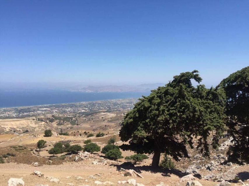 Kos: Full-Day Jeep Safari with Lunch - Price and Value: What You’re Really Paying For