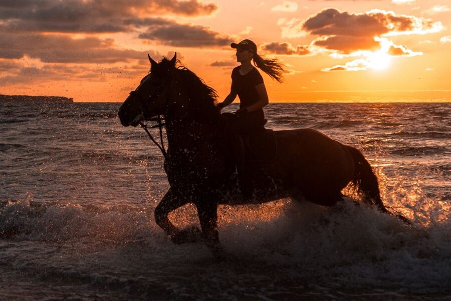 Kos: Horse Riding Experience on the Beach with Instructor - Key things I’d mark on your mental map