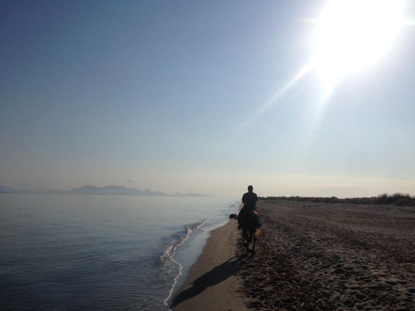 Kos: Horse Riding Experience on the Beach with Instructor - Meet the Horses at the Stable: What to Watch for