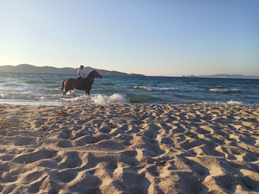 Kos: Horse Riding Experience on the Beach with Instructor - Photo Stops and the Small Finishing Touches