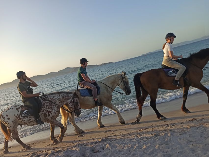 Kos: Horse Riding Experience on the Beach with Instructor - Price and Value: Is $88 Worth One Hour on Horseback?
