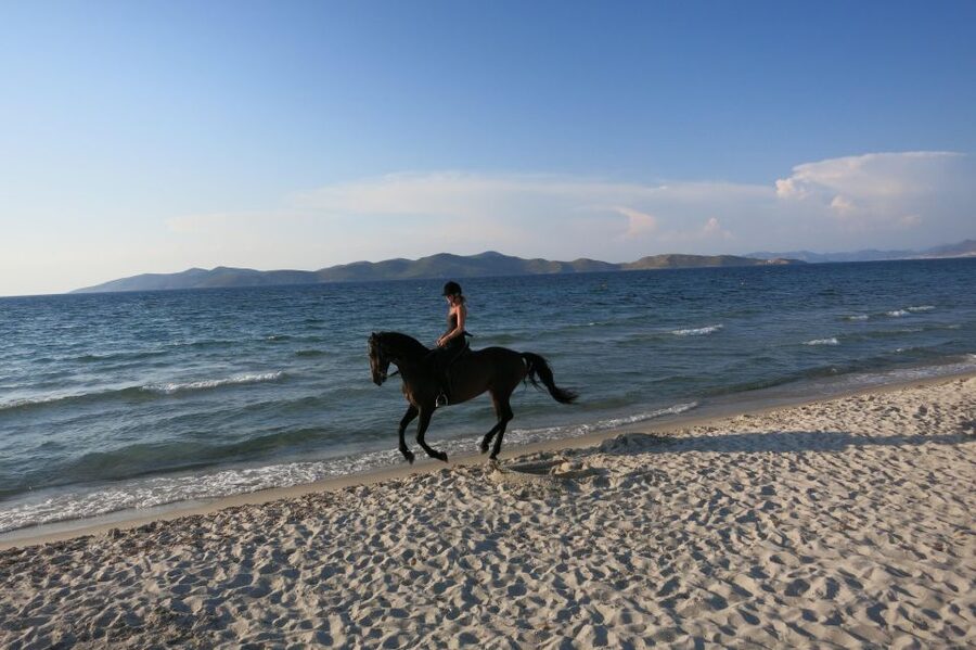 Kos: Horse Riding Experience on the Beach with Instructor - Who This Ride Suits Best (and Who Should Think Twice)