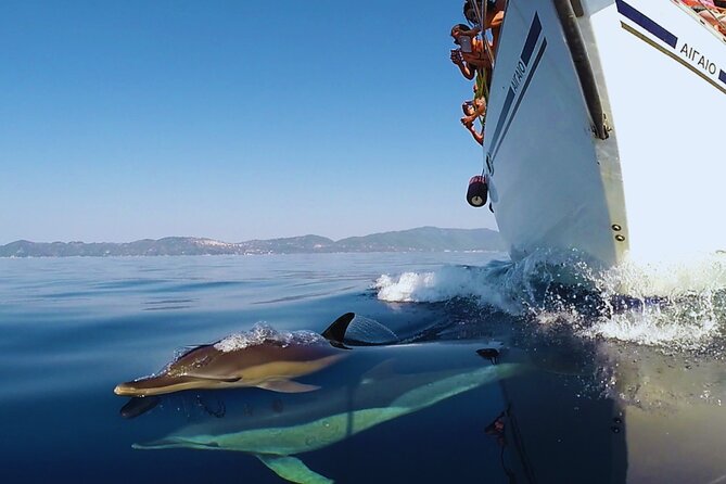 Kos: Small Group Full-Day Sailing with Meal, Drinks, & Swim - What to bring (and what to avoid) for a smooth day at sea