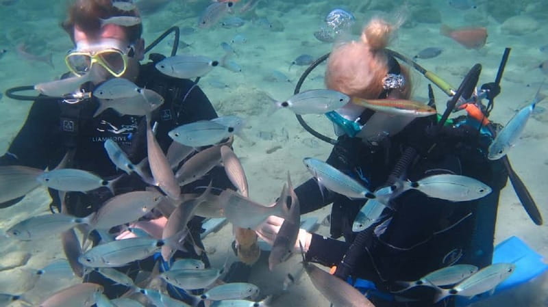 Kos: Try Scuba Diving with a diving boat - The Safety Briefing That Actually Prepares You