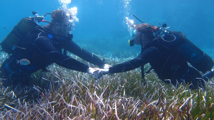 Kos: Try Scuba Diving with a diving boat - Your First Shallow Underwater Session at Max 5 Meters