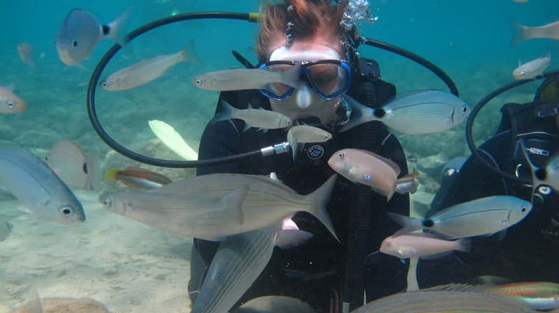 Kos: Try Scuba Diving with a diving boat - Pserimos Break Time: Snorkeling and Swimming Options