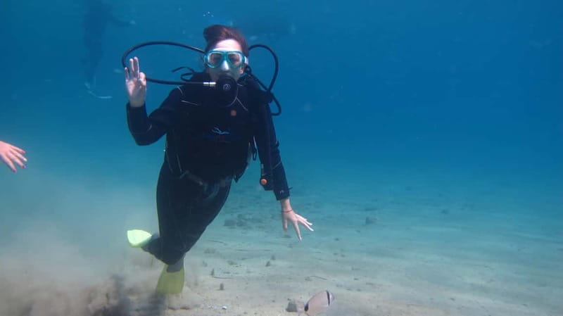 Kos: Try Scuba Diving with a diving boat - Who Should Book This and Who Should Skip It